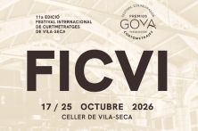 FICVI