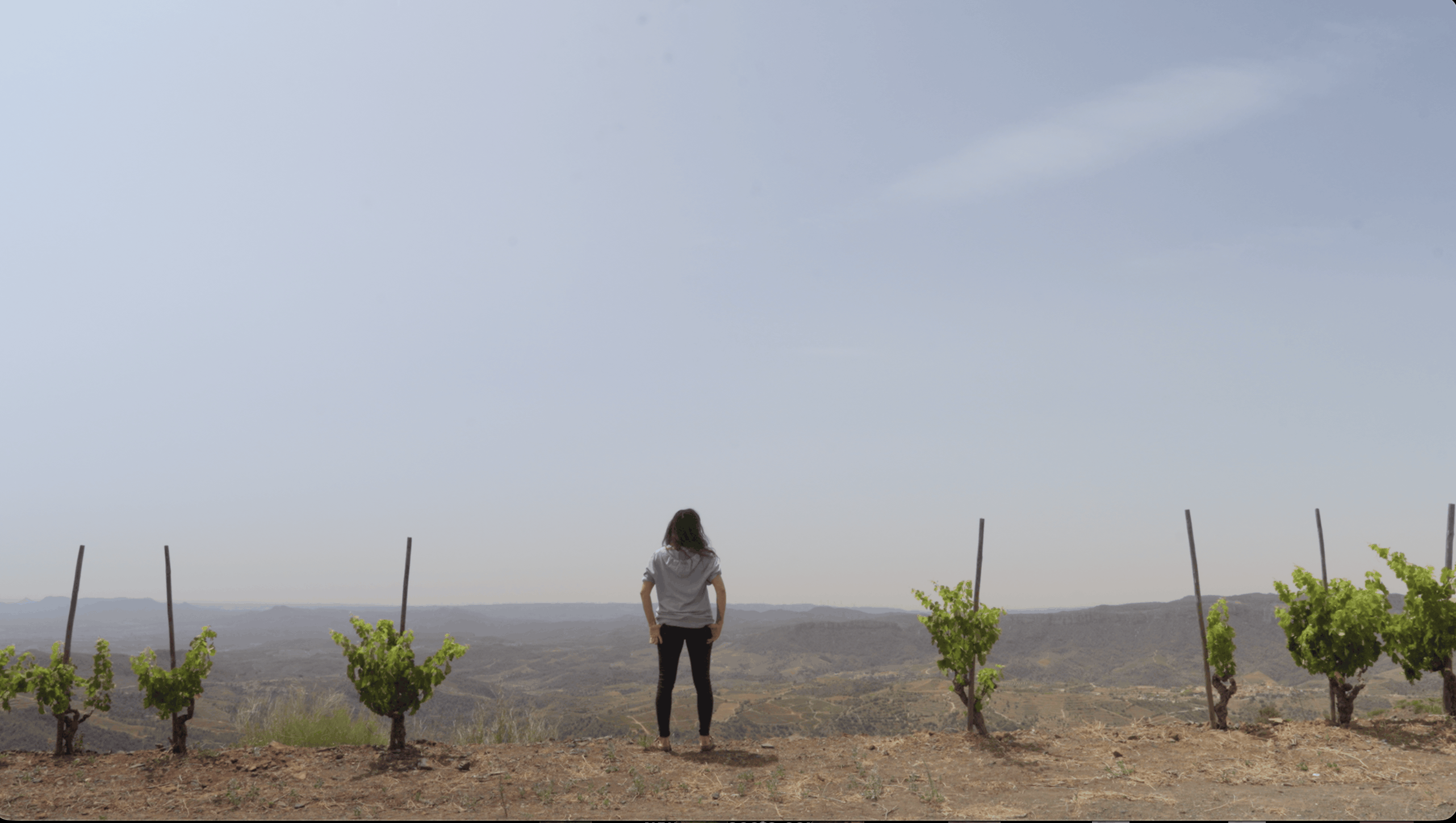 STILL_FIRE_WINE4(1)
