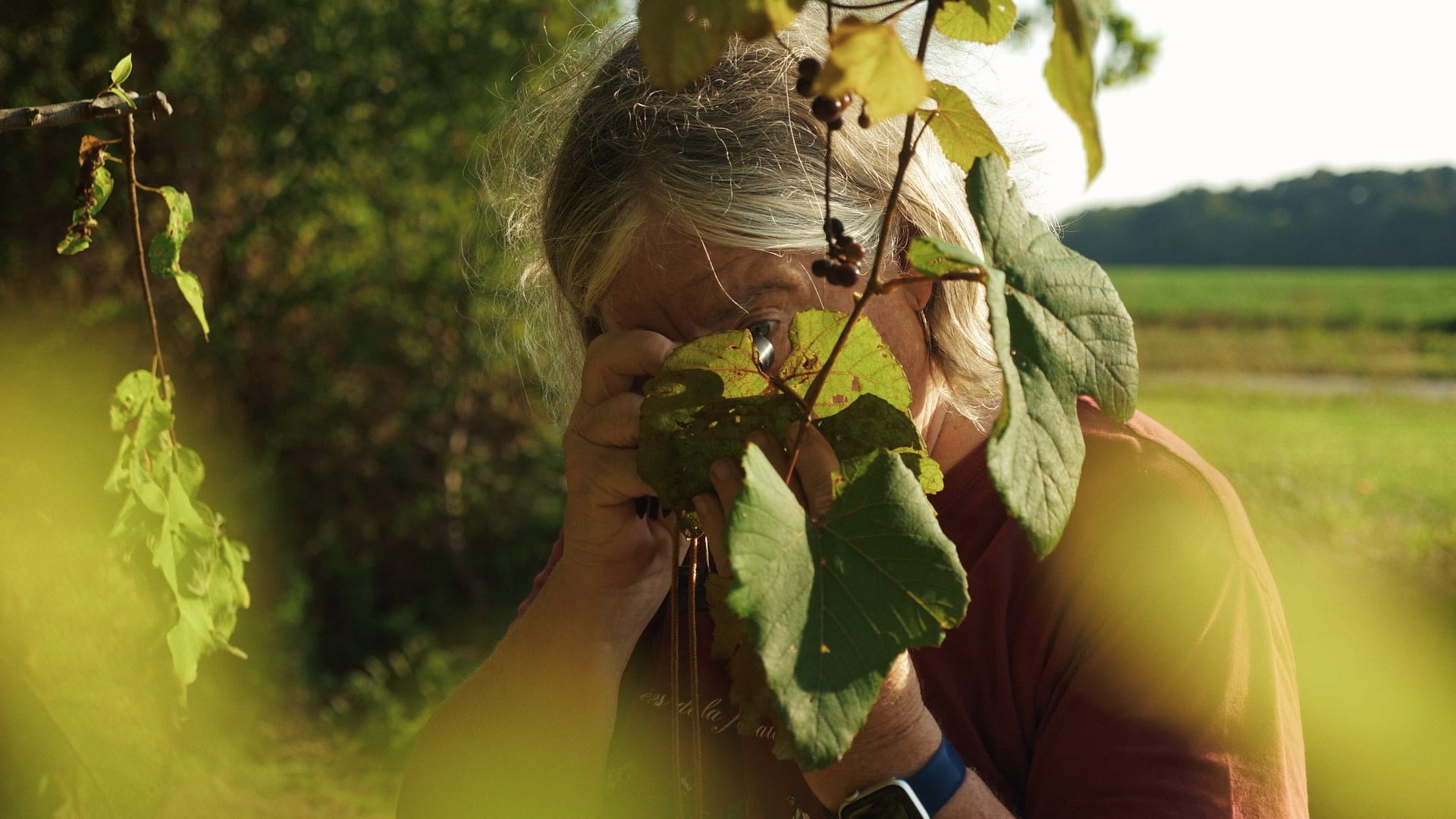 IMMIGRANT GRAPES - Still 1(1)